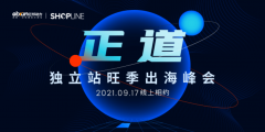 看中国跨境者蝶变力量，独立站旺季出海线上峰