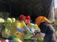 “胶味领鲜”特色农品 领跑舌尖上的高质量农业